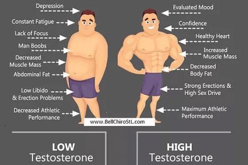 Тестостерон ба өөх тосны солилцоо 
